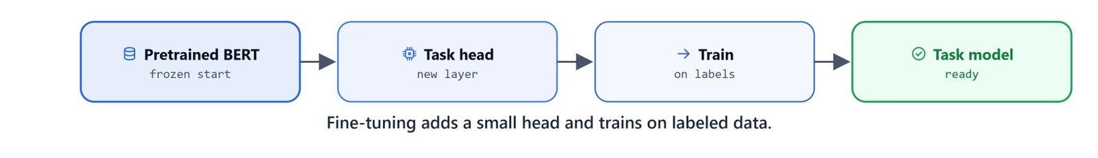 Diagram of fine-tuning: a pretrained BERT encoder with a small task head trained on labeled data