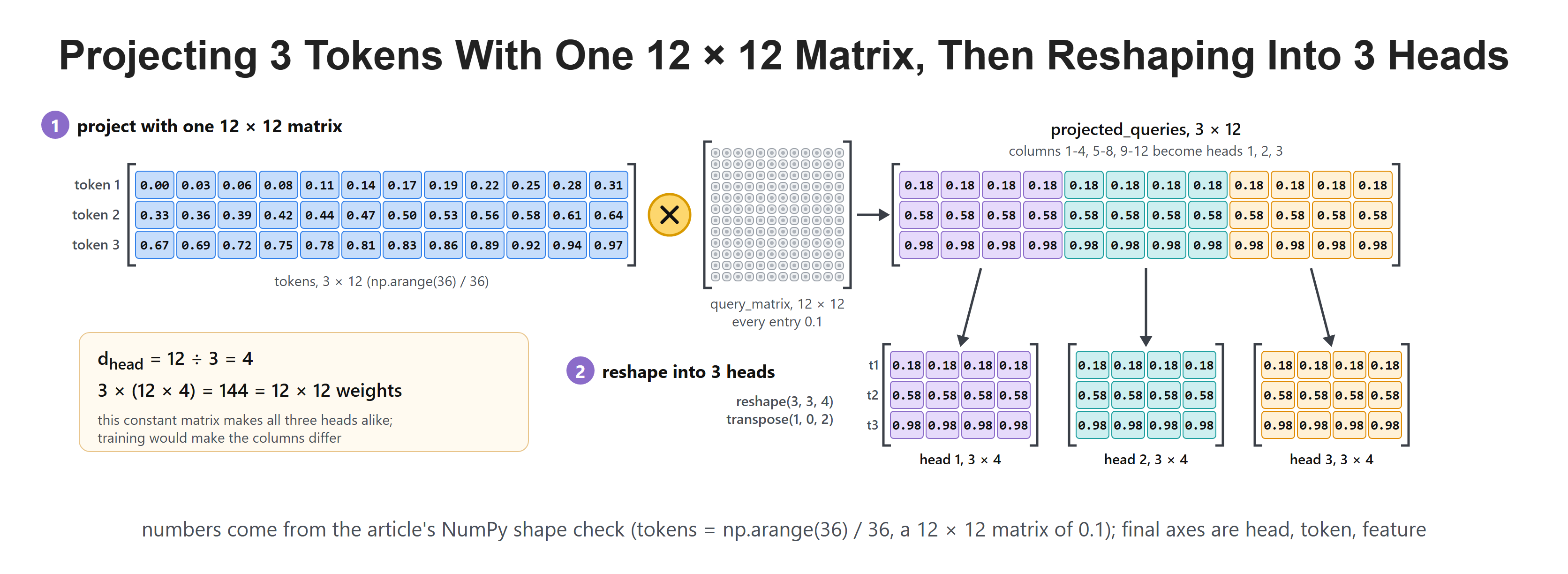 Projecting 3 Tokens With One 12 × 12 Matrix, Then Reshaping Into 3 Heads