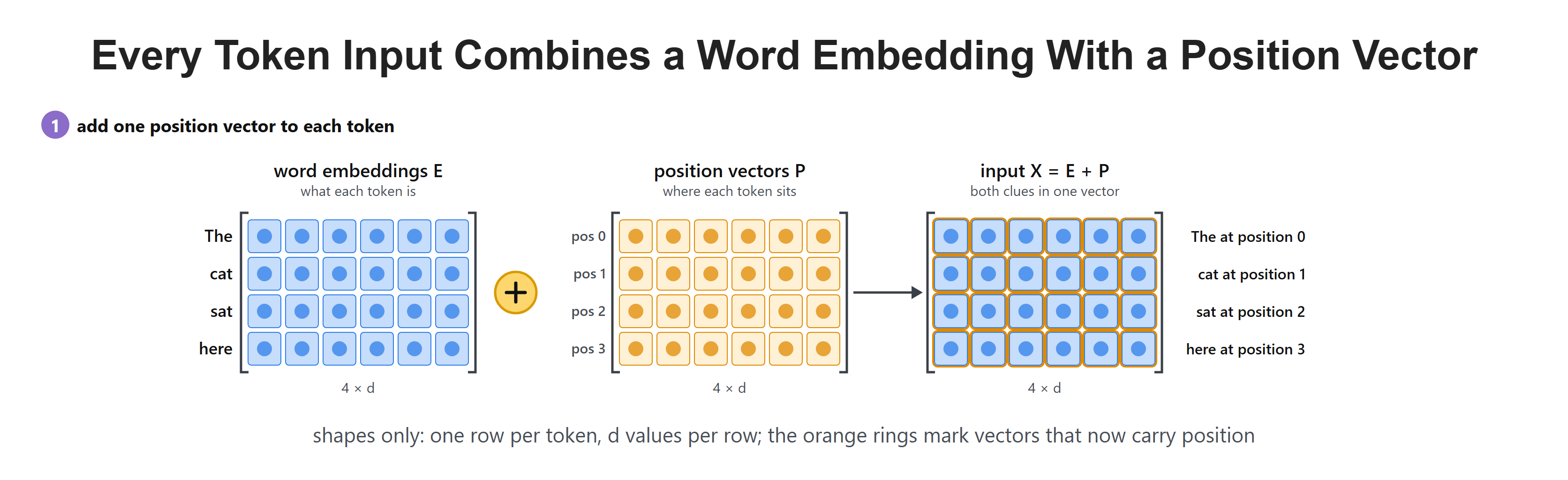 Every Token Input Combines a Word Embedding With a Position Vector