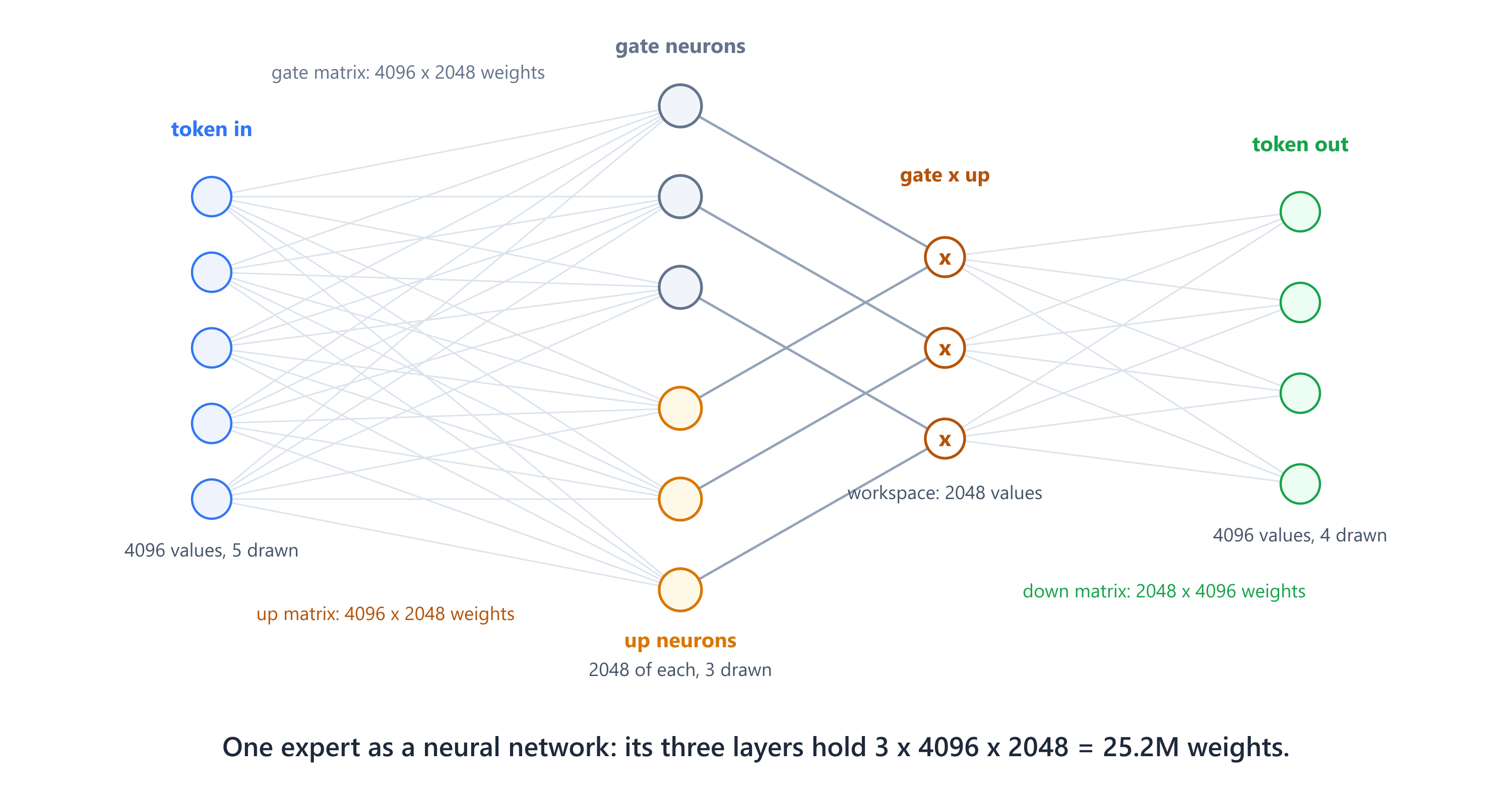 One DeepSeek expert drawn as a neural network, with 4096 token values feeding parallel gate and up neuron layers of 2048 each, their outputs multiplying pairwise, and a down layer returning 4096 values