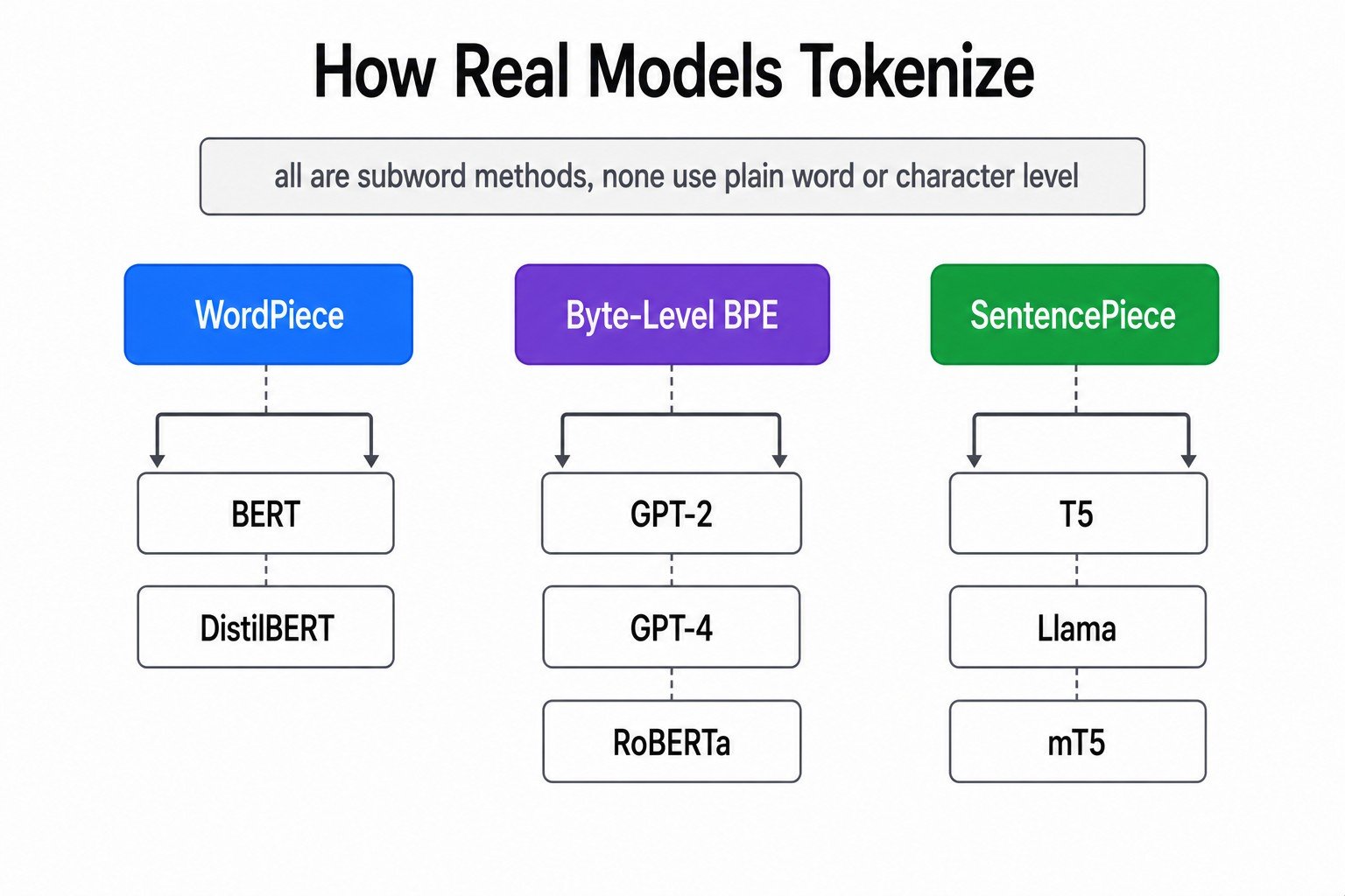 How Real Models Tokenize
