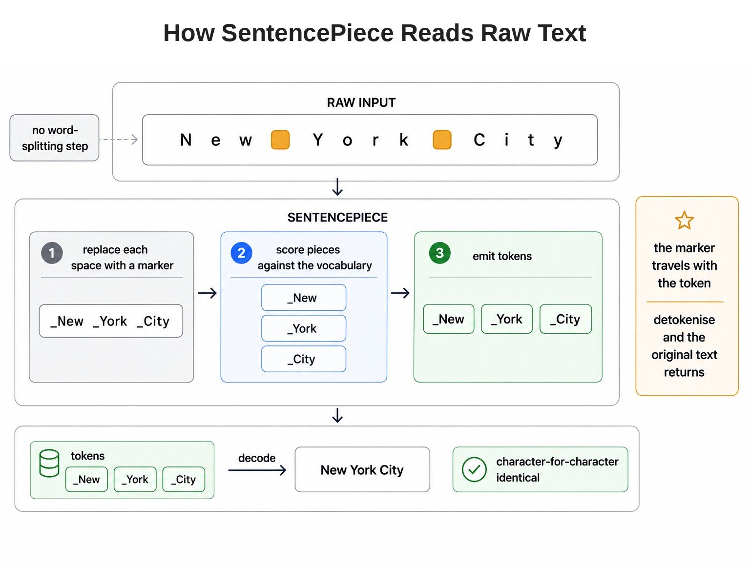 How SentencePiece Reads Raw Text