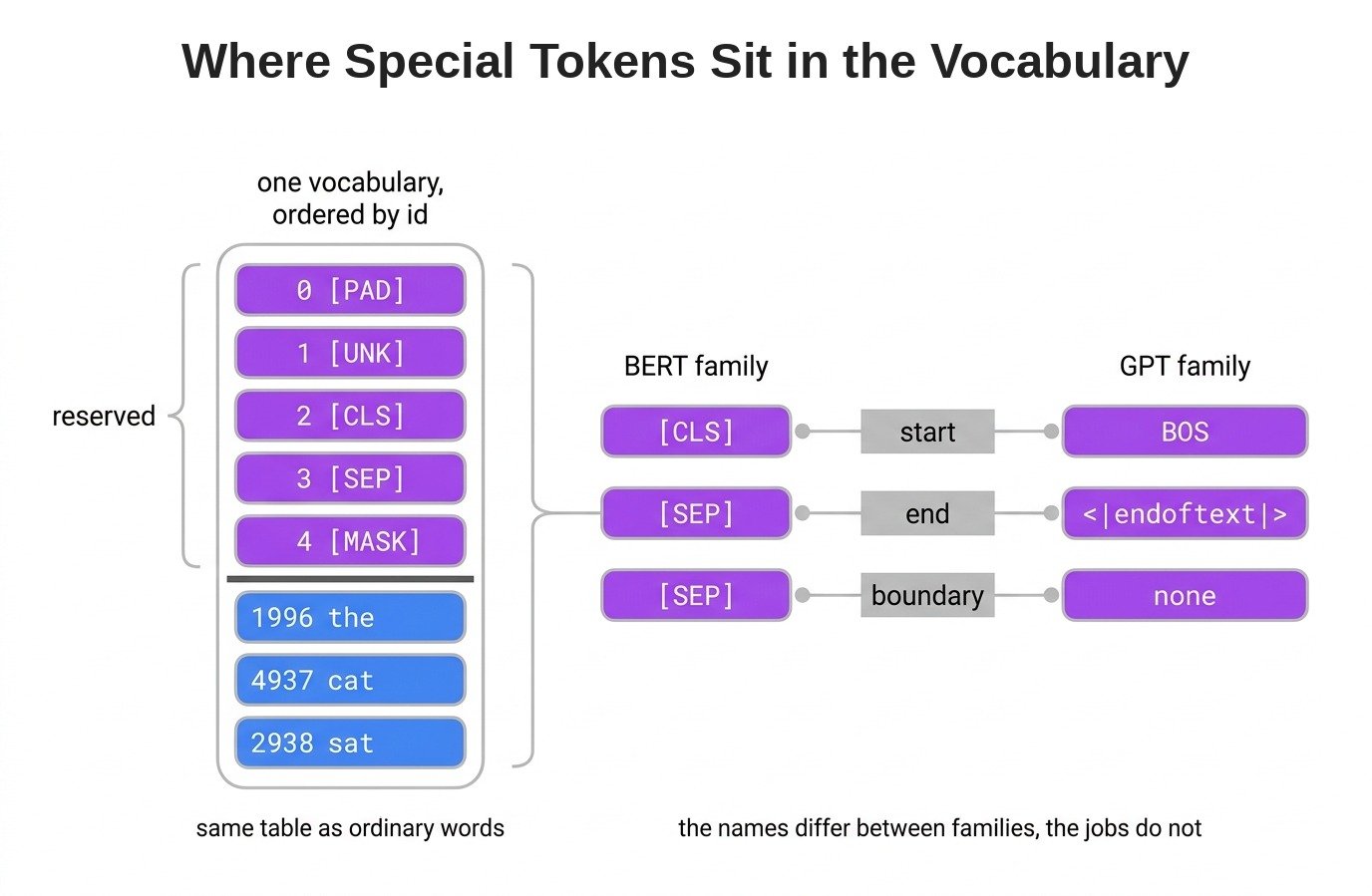 Where Special Tokens Sit in the Vocabulary