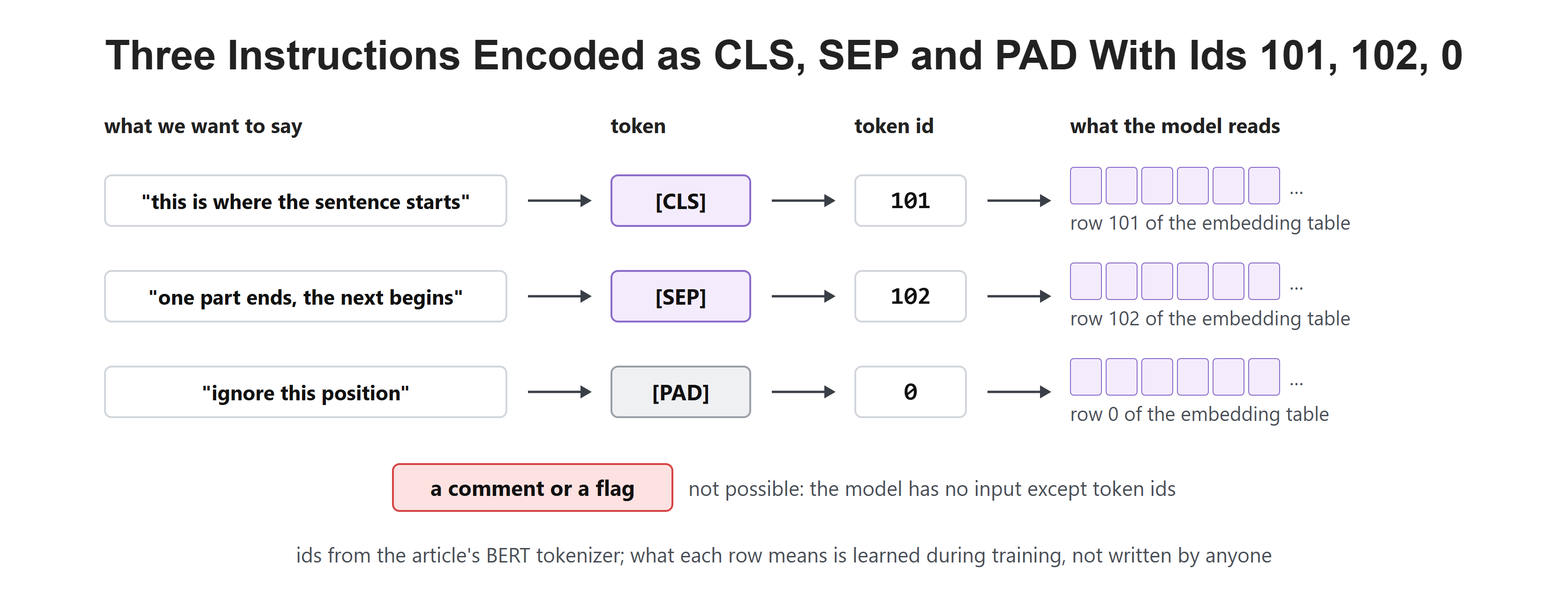 Three Instructions Encoded as CLS, SEP and PAD With Ids 101, 102, 0