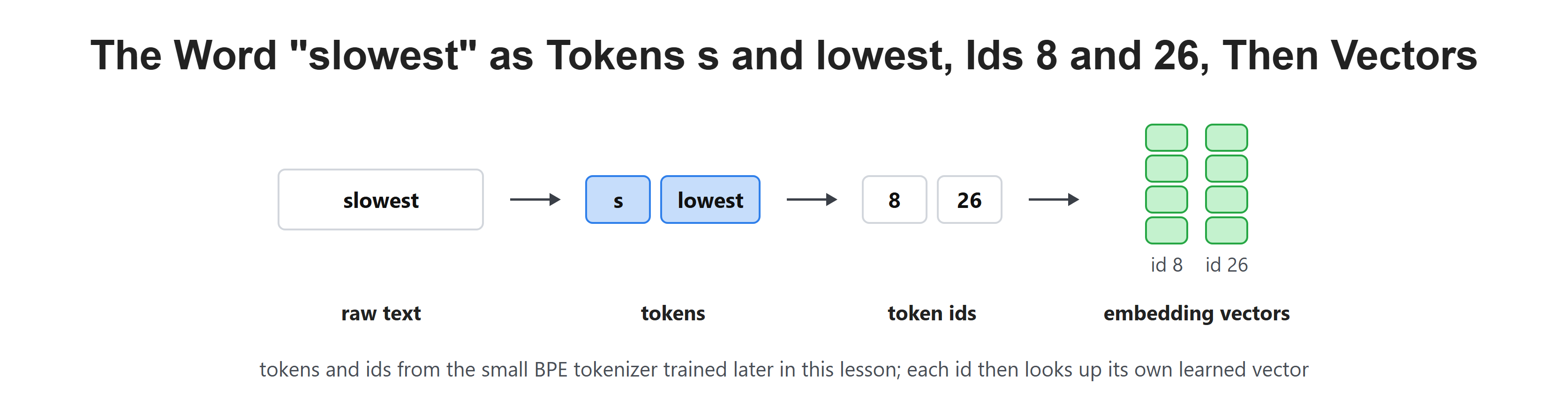 The Word "slowest" as Tokens s and lowest, Ids 8 and 26, Then Vectors