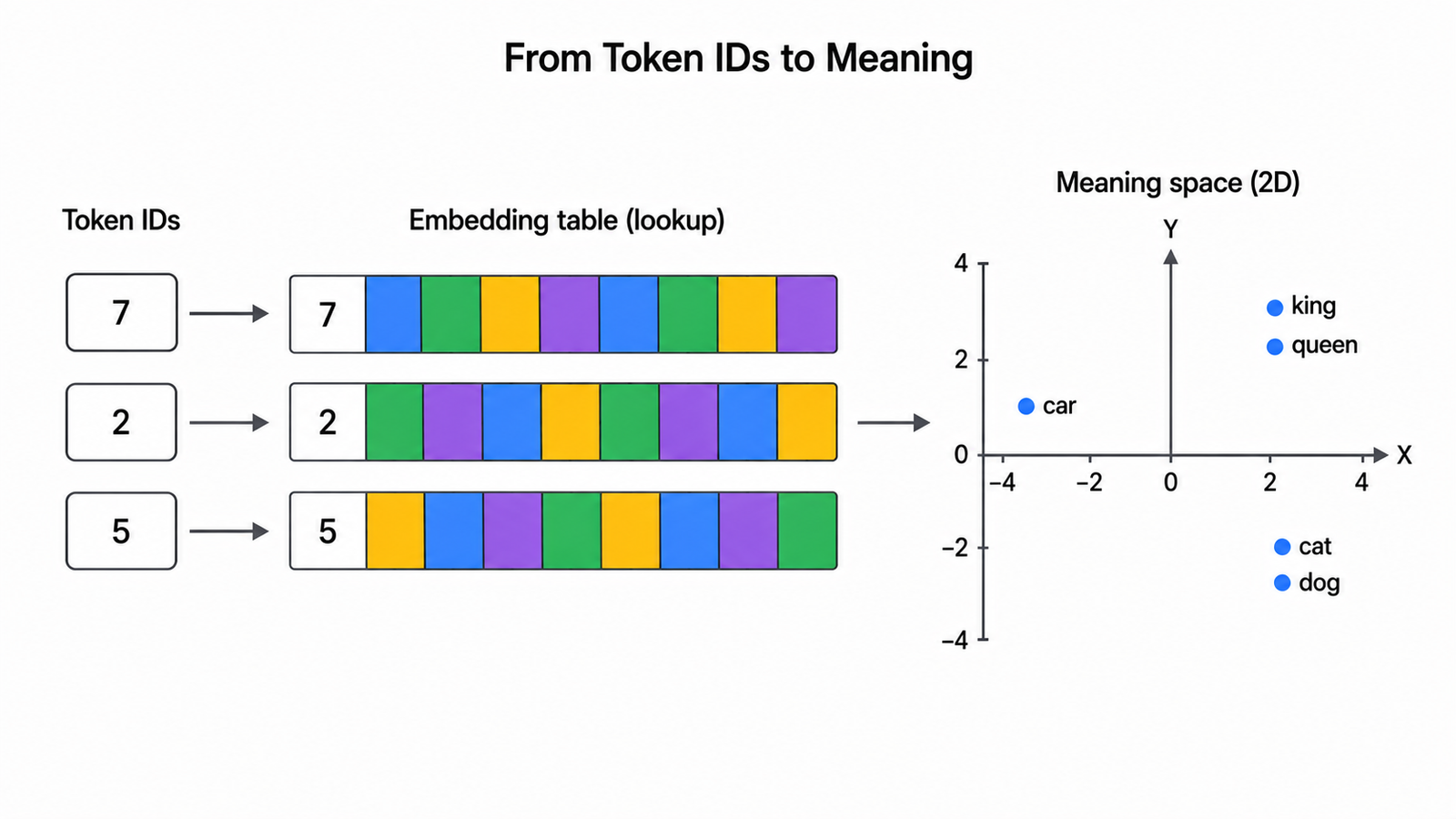 Diagram showing discrete token ids being looked up in an embedding table and placed as points in a continuous vector space where similar words sit close together