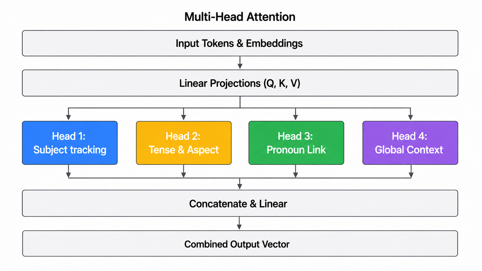 Diagram of multi-head attention showing the input split into several parallel attention heads, each focusing on a different relationship, then joined back together