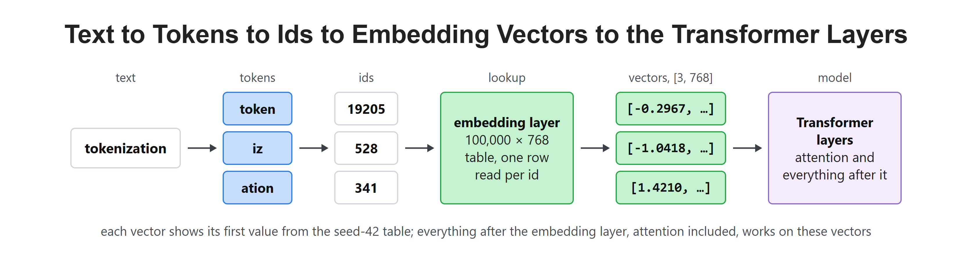 Text to Tokens to Ids to Embedding Vectors to the Transformer Layers